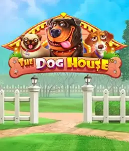 Pragmatic Play's The Dog House, bringing you a fun-filled experience among playful pups. Discover features including sticky wilds, perfect for providing joyful moments. Ideal for animal enthusiasts a cheerful setting with a chance for big wins.